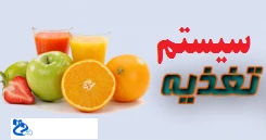 رزرو غذا